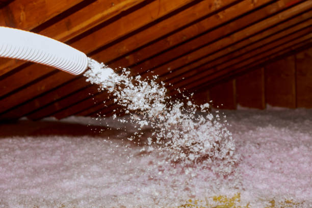 Best Geographic-Specific Insulation Services in Panora, IA