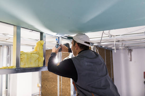 Best Eco-Friendly Insulation in Panora, IA