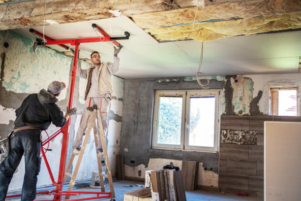 Best Insulation Maintenance and Repair in Panora, IA